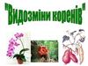 Видозміни кореня