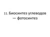 Биосинтез углеводов — фотосинтез