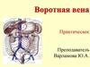 Воротная вена