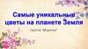 Самые уникальные цветы на планете Земля