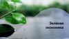 Зелёная экономика