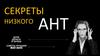Секреты низкого АНТ