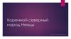 Коренной северный народ Ненцы