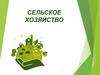 Сельское хозяйство. 11 класс
