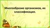 Многообразие организмов, их классификация