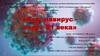Коронавирус - вирус 21 века
