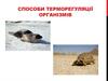 Способи терморегуляції організмів