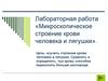 Лабораторная работа «Микроскопическое строение крови человека и лягушки»