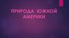 Природа Южной Америки