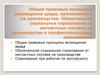 Общие правовые принципы возмещения вреда на производстве. Обязательное социальное страхование от несчастных случаев