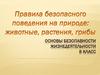 Основы безопасности жизнедеятельности. 8 класс
