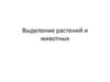 Выделение у растений и животных