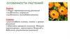 Особенности растений