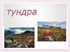 Тундра - вид природных зон
