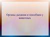 Органы дыхания и газообмен у животных