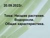 Низшие растения. Водоросли. Общая характеристика