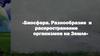Биосфера. Разнообразие и распространение организмов на Земле