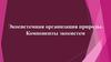 Экосистемная организация природы. Компоненты экосистем