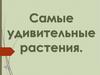 Самые удивительные растения
