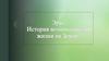 Эры. История возникновения жизни на Земле