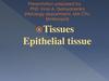 Tissues Epithelial tissue