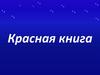 Своя игра «Красная книга»