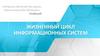 Жизненный цикл информационных систем