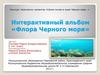 Интерактивный альбом «Флора Черного моря»