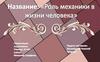 Роль механики в жизни человека. Энергетические затраты человека