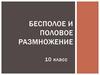Бесполое и половое размножение  (10 класс)
