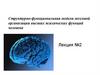 Структурно-функциональная модели мозговой организации высших психических функций человека