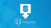 PostgreSQL