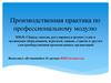 Производственная практика по профессиональному модулю
