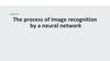 The process of image recognition by a neural network