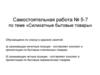 Самостоятельная работа № 5-7. Силикатные бытовые товары