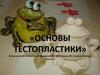 Основы тестопластики