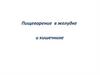 Пищеварение в желудке