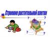 Строение растительного организма