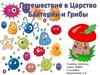 Путешествие в Царство Бактерии и Грибы