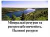 Мінеральні ресурси та ресурсозабезпеченість. Паливні ресурси