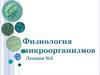 Физиология микроорганизмов. Лекция №3