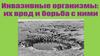 Инвазивные организмы: вред и борьба с ними