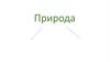Природа. Живая и неживая природа