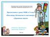 Пассажир. Безопасность пассажира. Дорожные науки