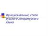 Функциональные стили русского литературного языка
