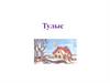 Тулыс