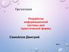 Разработка информационной системы для туристической фирмы