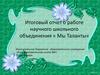 Итоговый отчет о работе научного школьного объединения «Мы Таланты»
