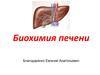 Биохимия печени