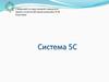 Система 5С. Правила сортировки